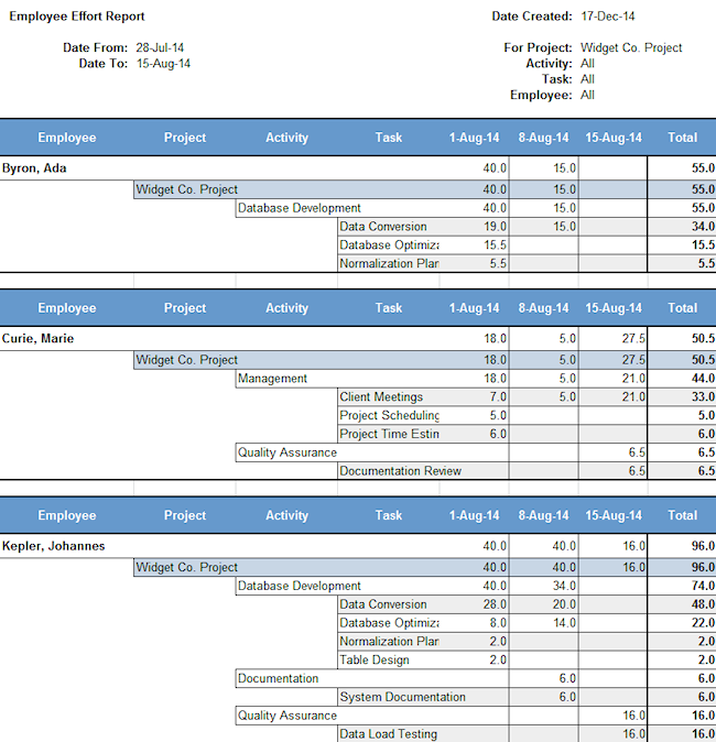 employee effort summary report