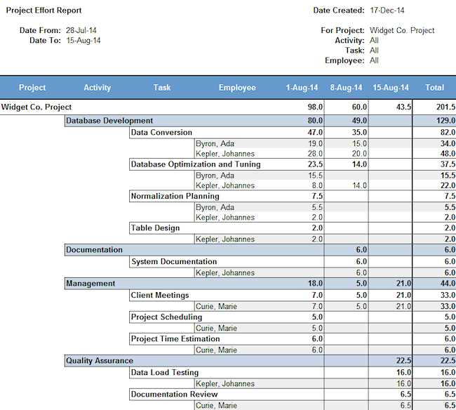 project effort report