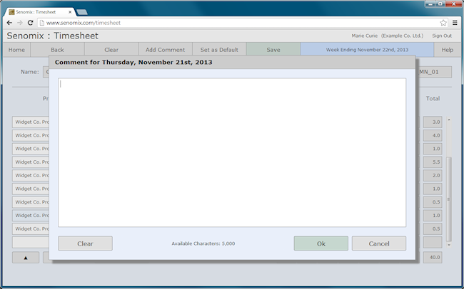 time sheet comment entry