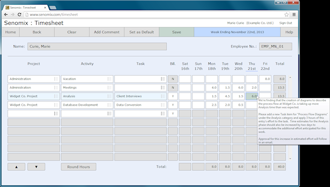 timesheet comment text