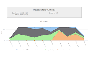 Review hours in a project summary